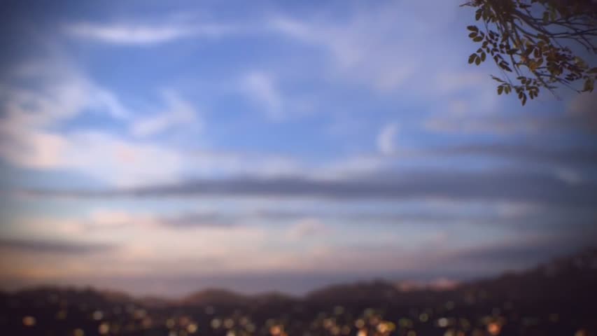 Elmstead & Close- - by Andrei Shah 