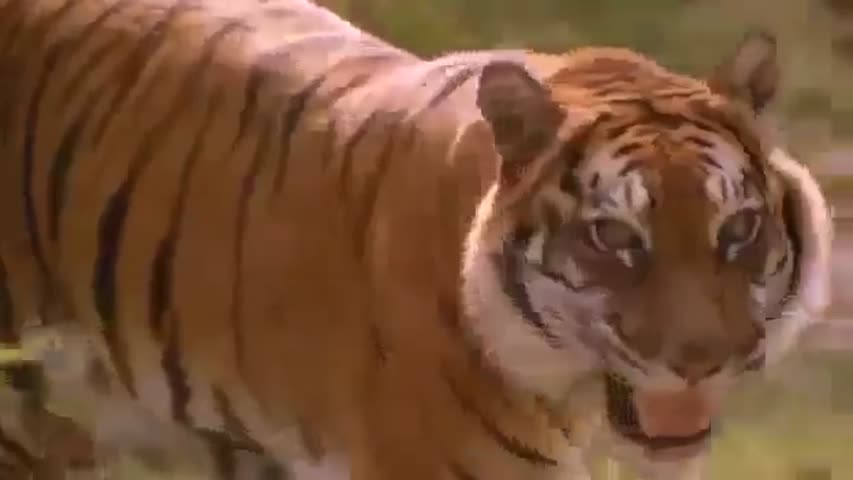 Beastmaster Season 2 Episode 4   Orpheo