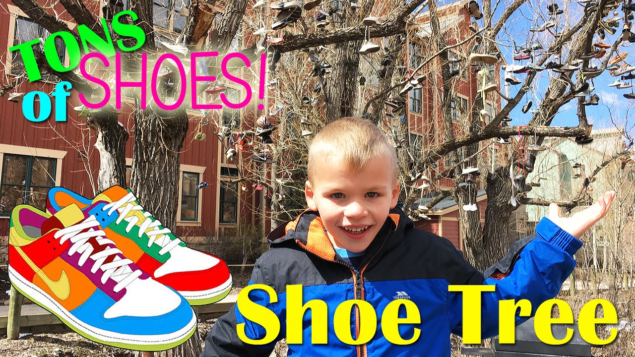 SHOE TREE & SNOW  -- A Tree FULL of Shoes!