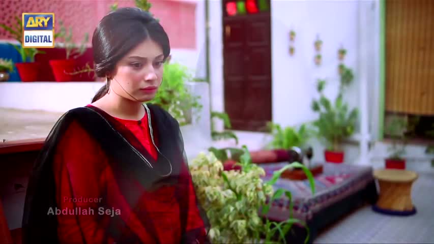 Mein Mehru Hoon Ep 101 - 15th December 2016 - ARY Digital Drama