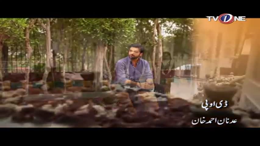 Parizad - Episode 12 - 13th December 2016