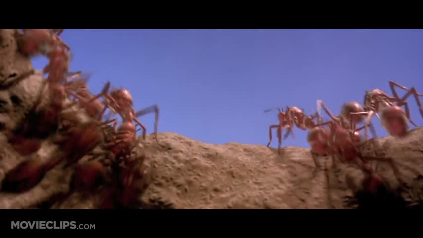 The Scorpion King (2/9) Movie CLIP - Fire Ants