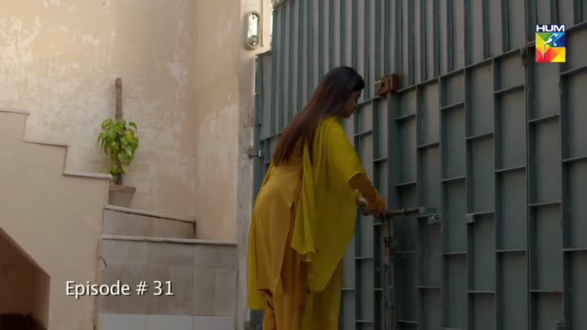 Aik Larki Aam Si Episode #31 HUM TV Drama 31 July 2018