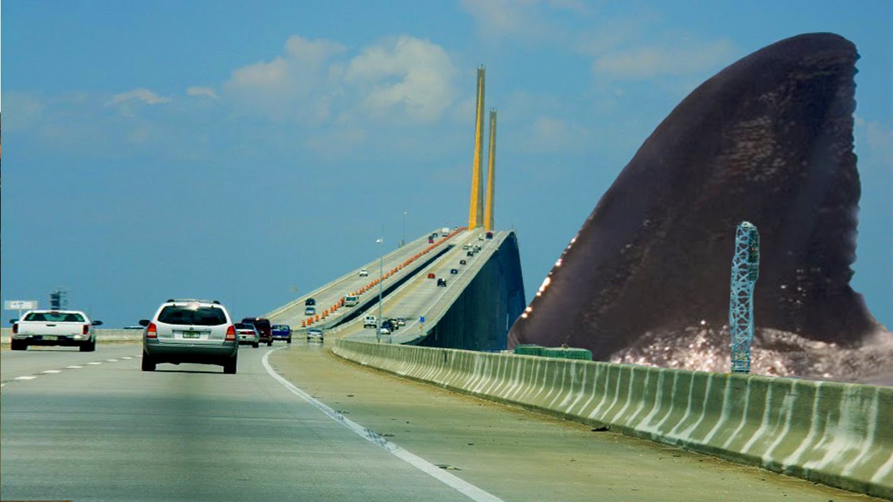 World's Biggest Animals EVER