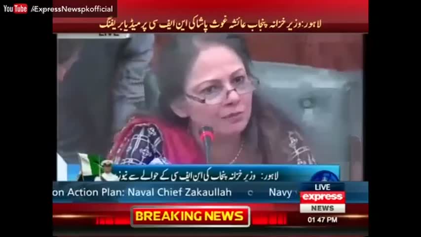 وزیر خزانہ عائشہ غوث پاشا کی این ایف سی پر میڈیا بریفنگ