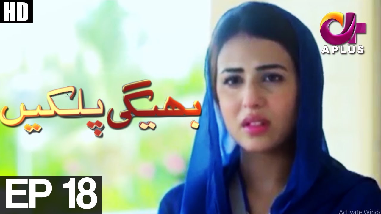 Bheegi Palkein Episode 18 | Aplus ᴴᴰ