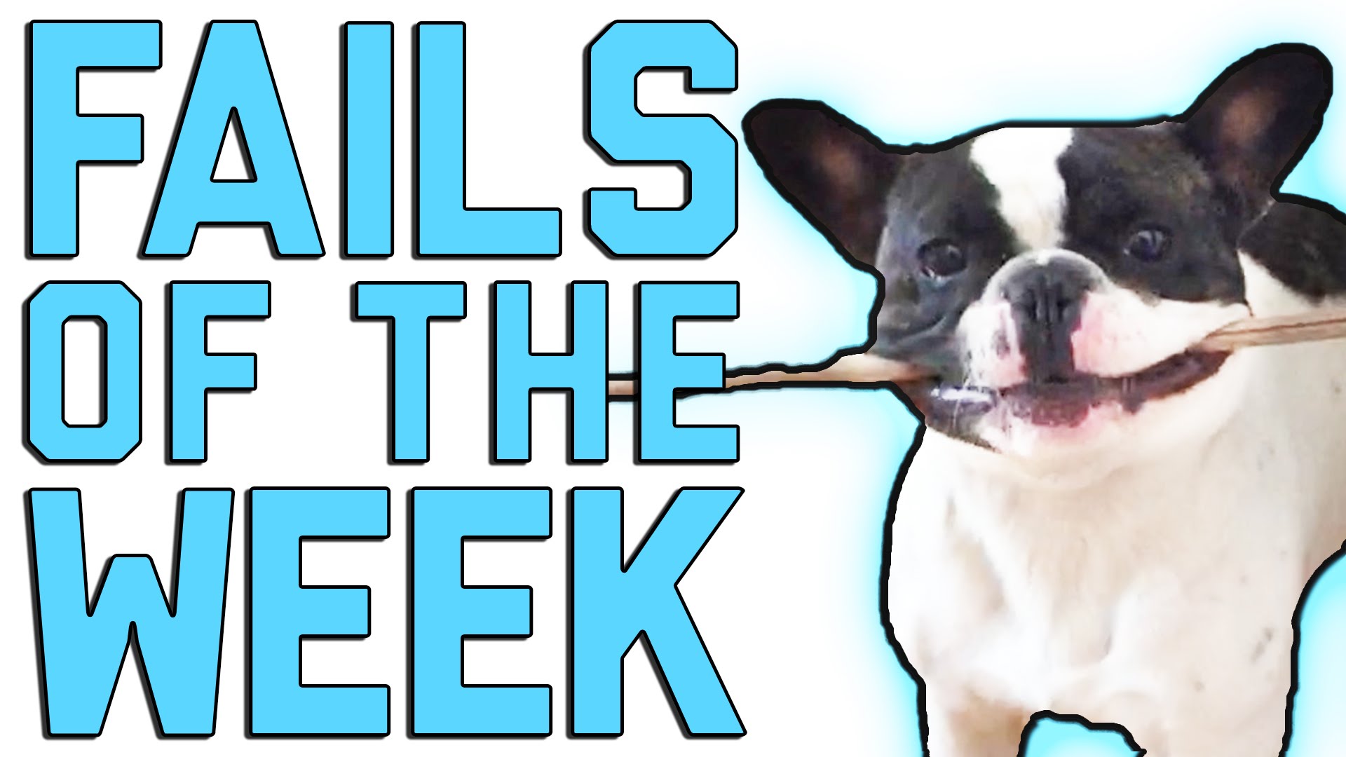 Fails of the Week 3 July 2016 || FailArmy