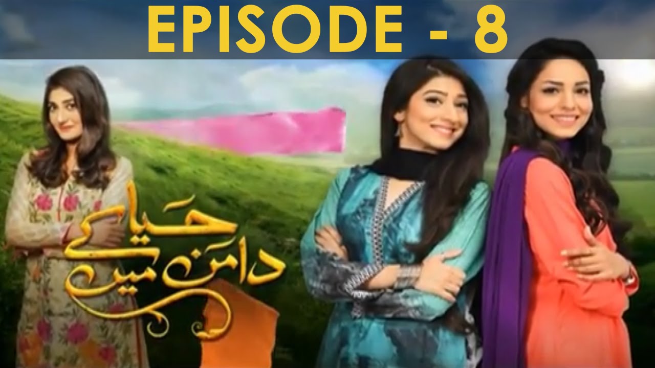 Haya Kay Daman Main Episode 8 Full HUM TV Drama 8 April 2016