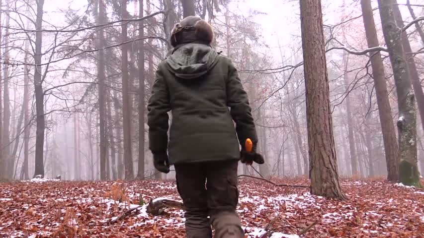 Bushcraft Hot Dog In The Woods