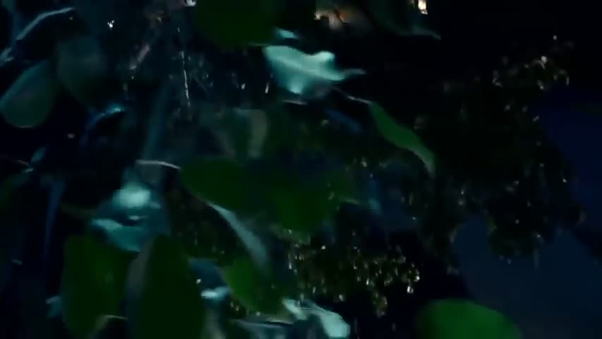 Best Chinese Movies 2017   China Action Movies With English Subtitle   New Martial Arts Movies