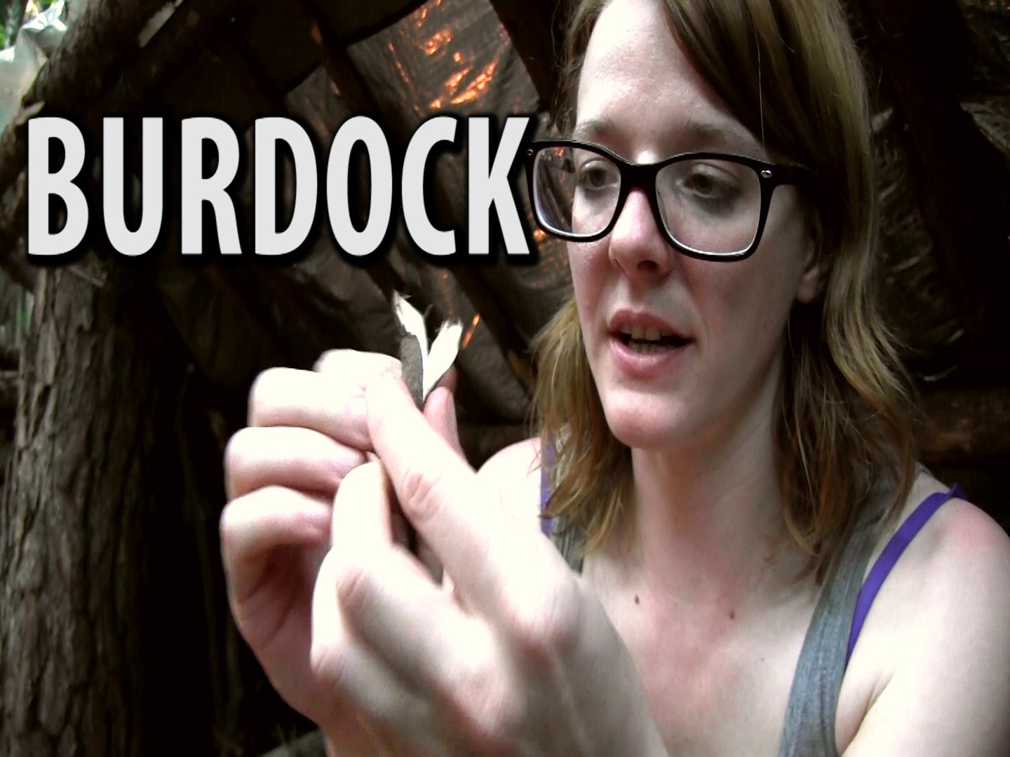 Survival Food - Burdock