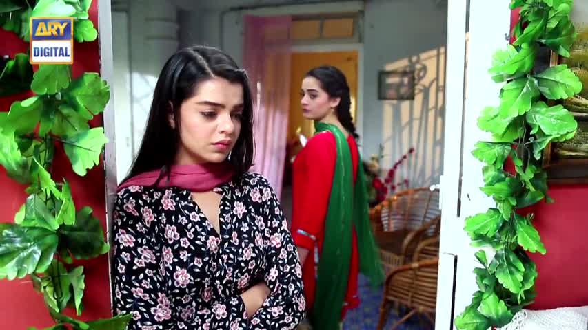 Zindaan - Ep 24 - 11th July 2017 - ARY Digital Drama