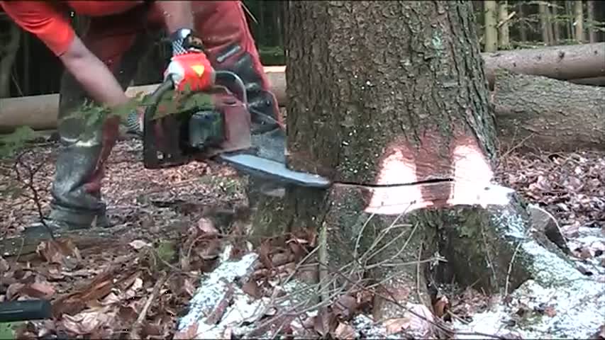 Hydraulischer Fällkeil-  unentbehrlich bei der Holzernte/ Demo...