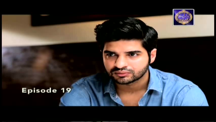 Phir Wohi Dil Episode 19 - ARY Zindagi Drama