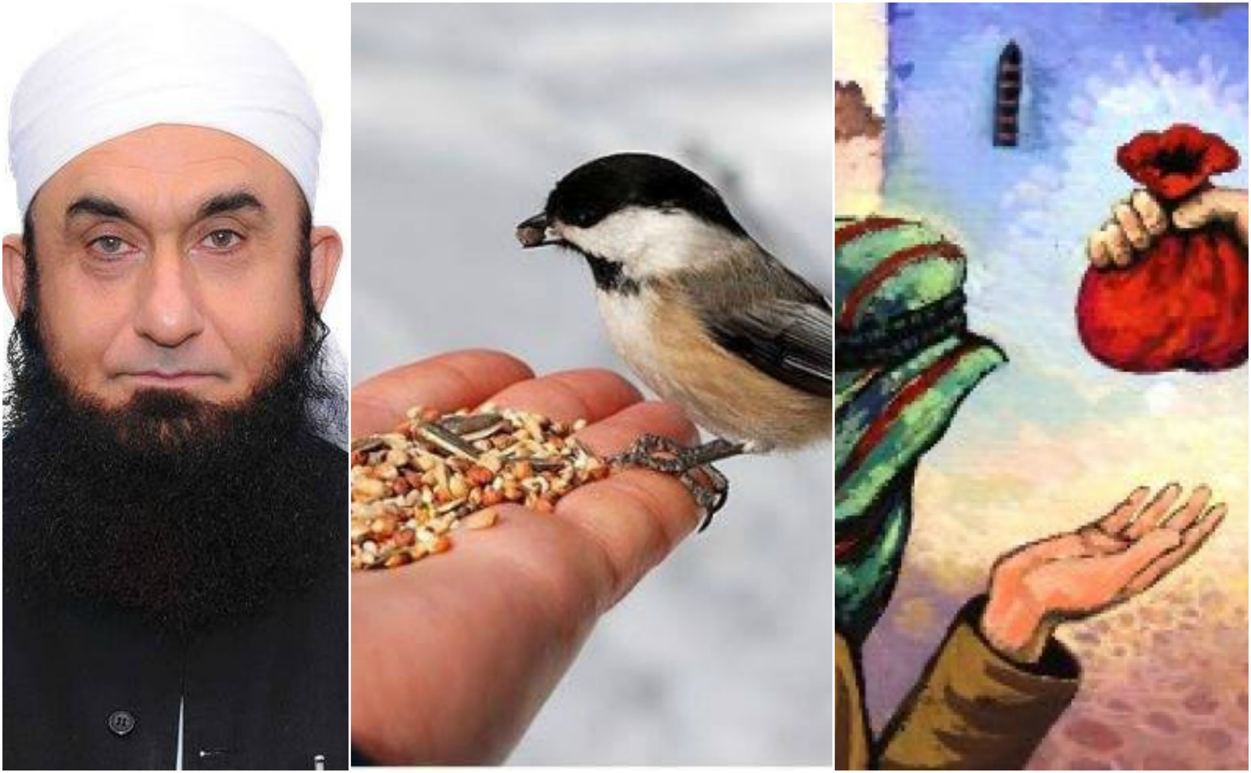 Benifits of Sadqa and Zakat During Holly Month of Ramadan by Maulana Tariq Jameel