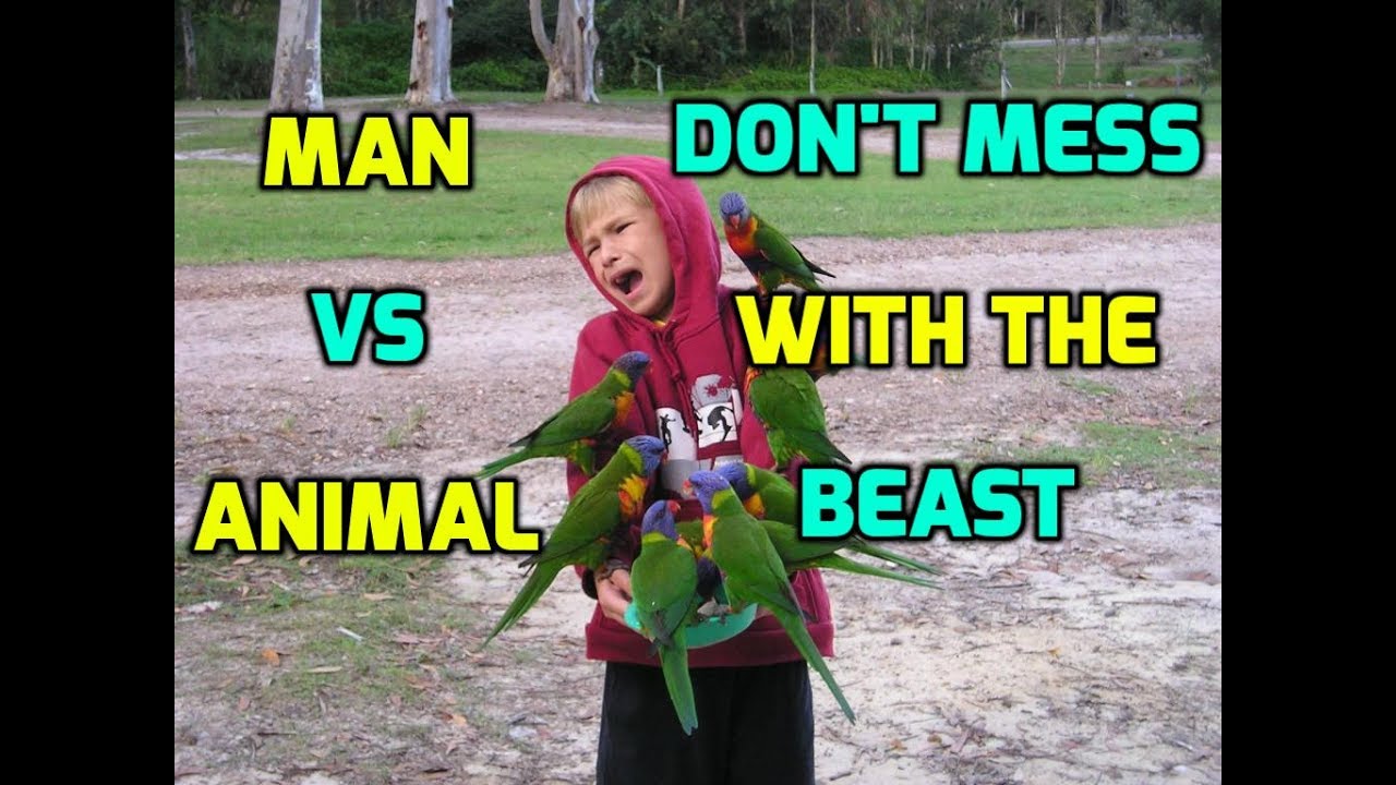 Man vs Animal - Don't Mess with the Beast