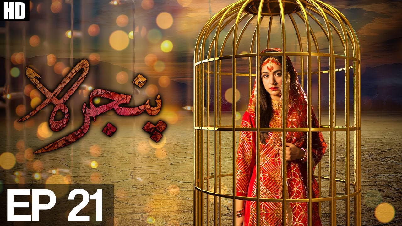 Pinjra - Episode 21  | Aplus