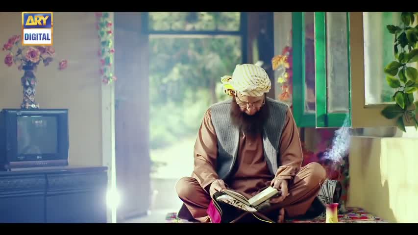 Saheliyaan Ep 52 - 17th October 2016 - ARY Digital Drama