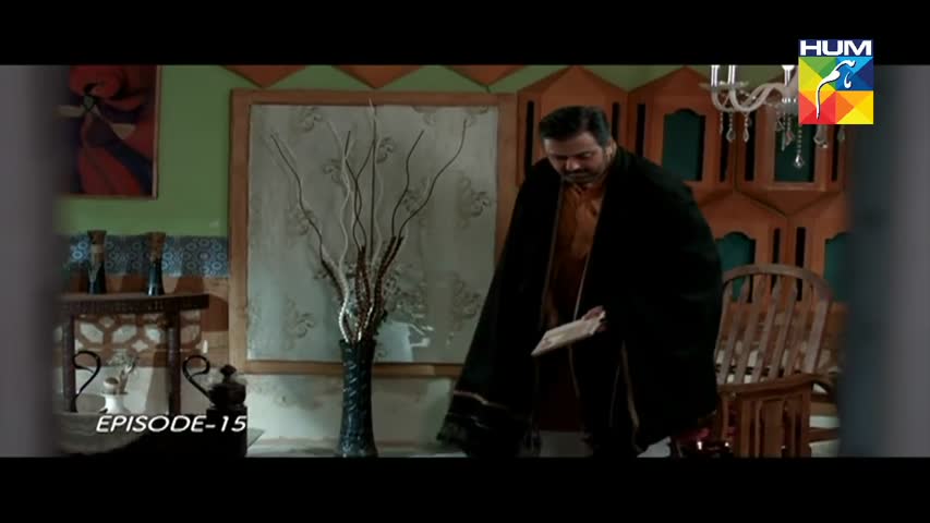 O Rungreza Episode 15 HUM TV Drama | 3 November 2017