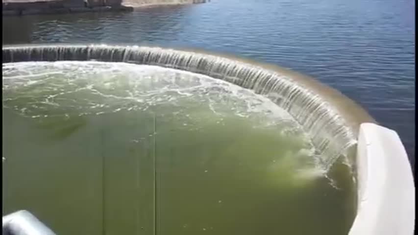 Muskies Jumping Over Wingra Creek Dam.avi