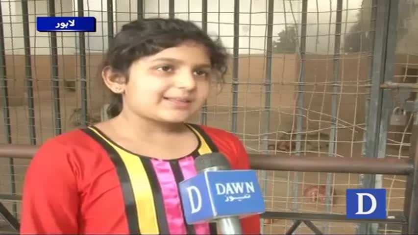 newly born animals in Lahore zoo