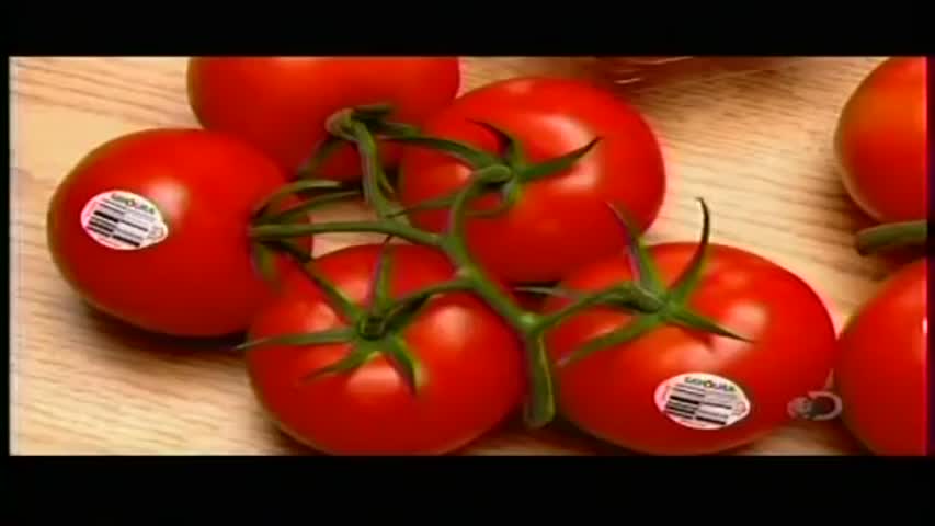 How Its Made   Greenhouse Tomatoes