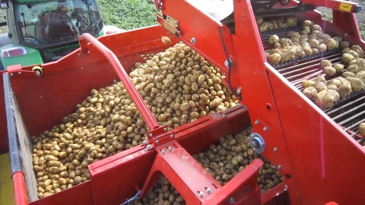 Amazing Vegetable Harvesting Machines