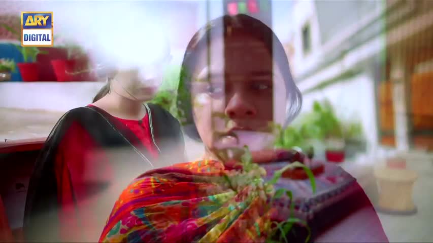 Mein Mehru Hoon Ep 160 - 9th March 2017 - ARY Digital Drama