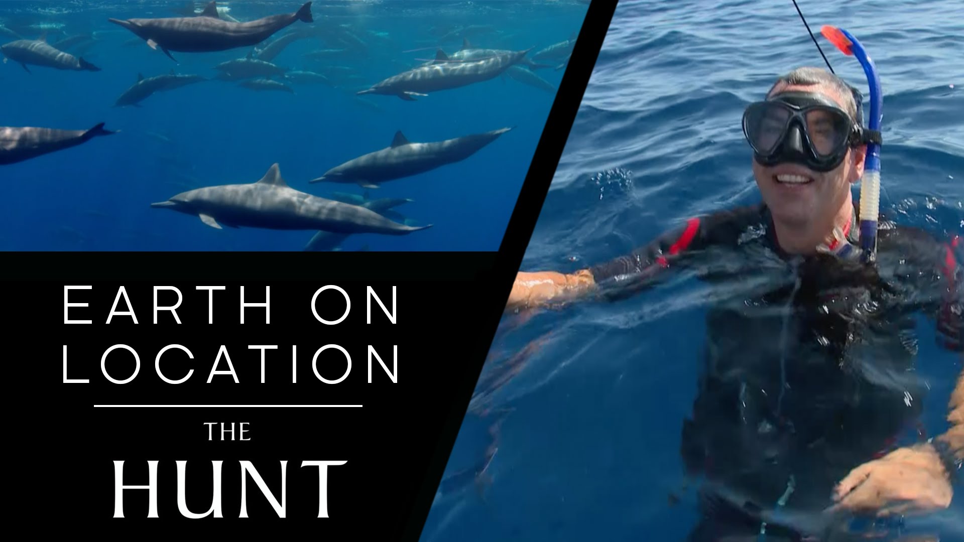 Dolphin Pod Makes Amazing Sounds! - The Hunt - #EarthOnLocation Vlog - BBC Earth Unplugged