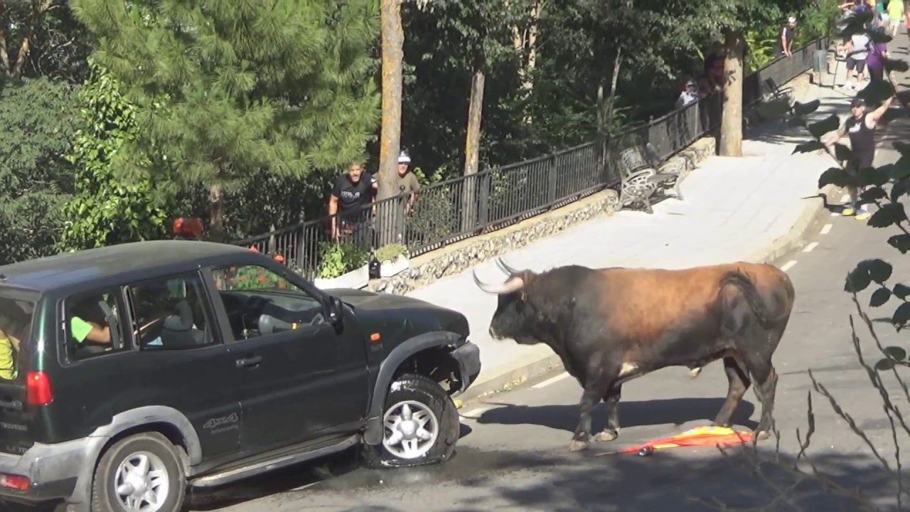 Bull Destroys 4x4