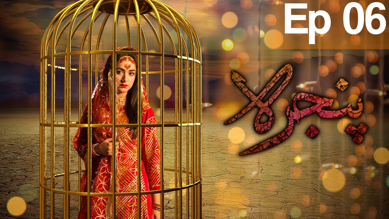 Pinjra - Episode 6 | Aplus