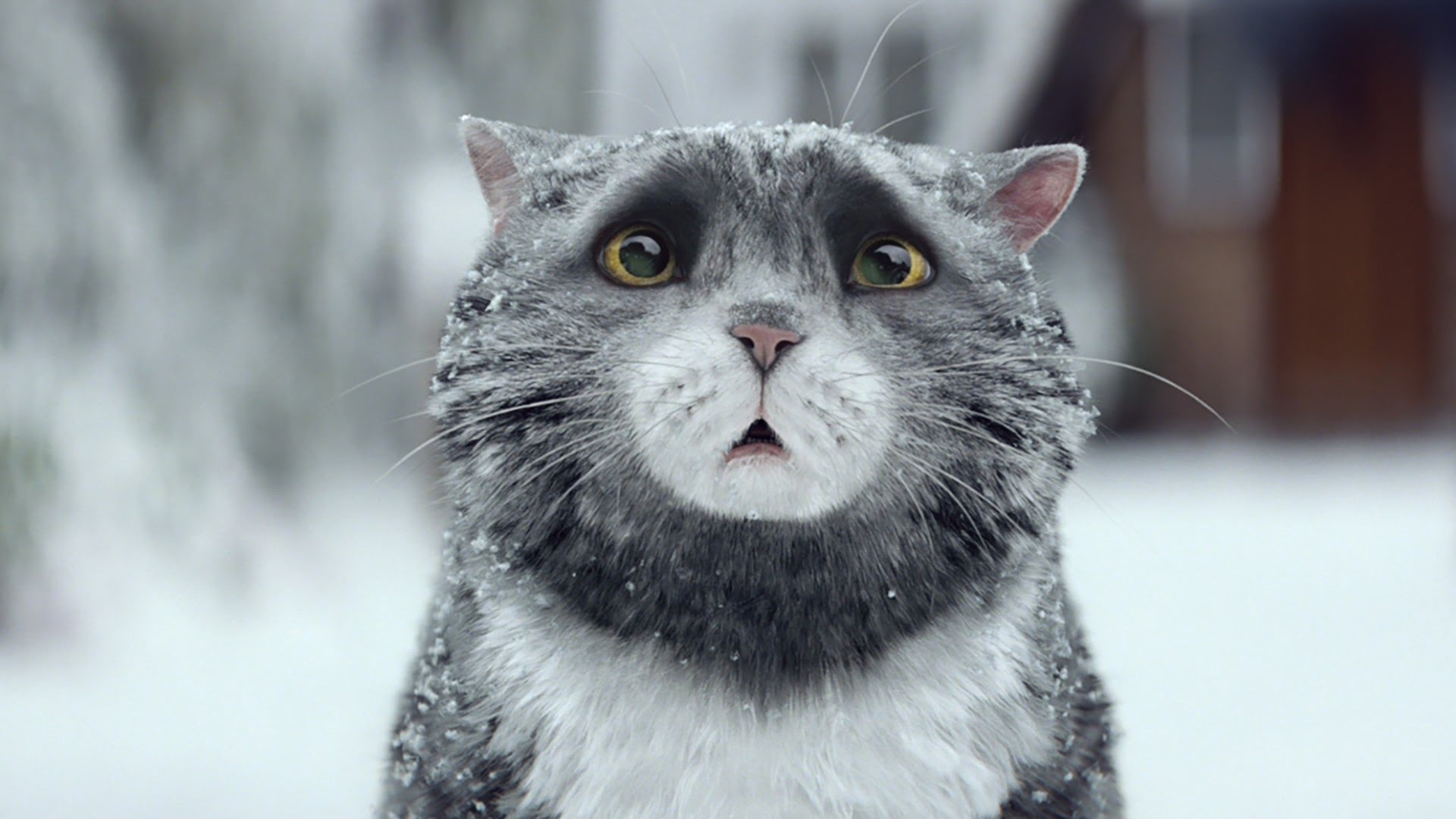 Sainsbury’s OFFICIAL Christmas Advert 2015 – Mog’s Christmas Calamity