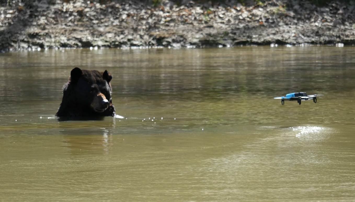 Bebop Drone & Animals 1st drone operated by a Zoo Team (Thoiry, France)