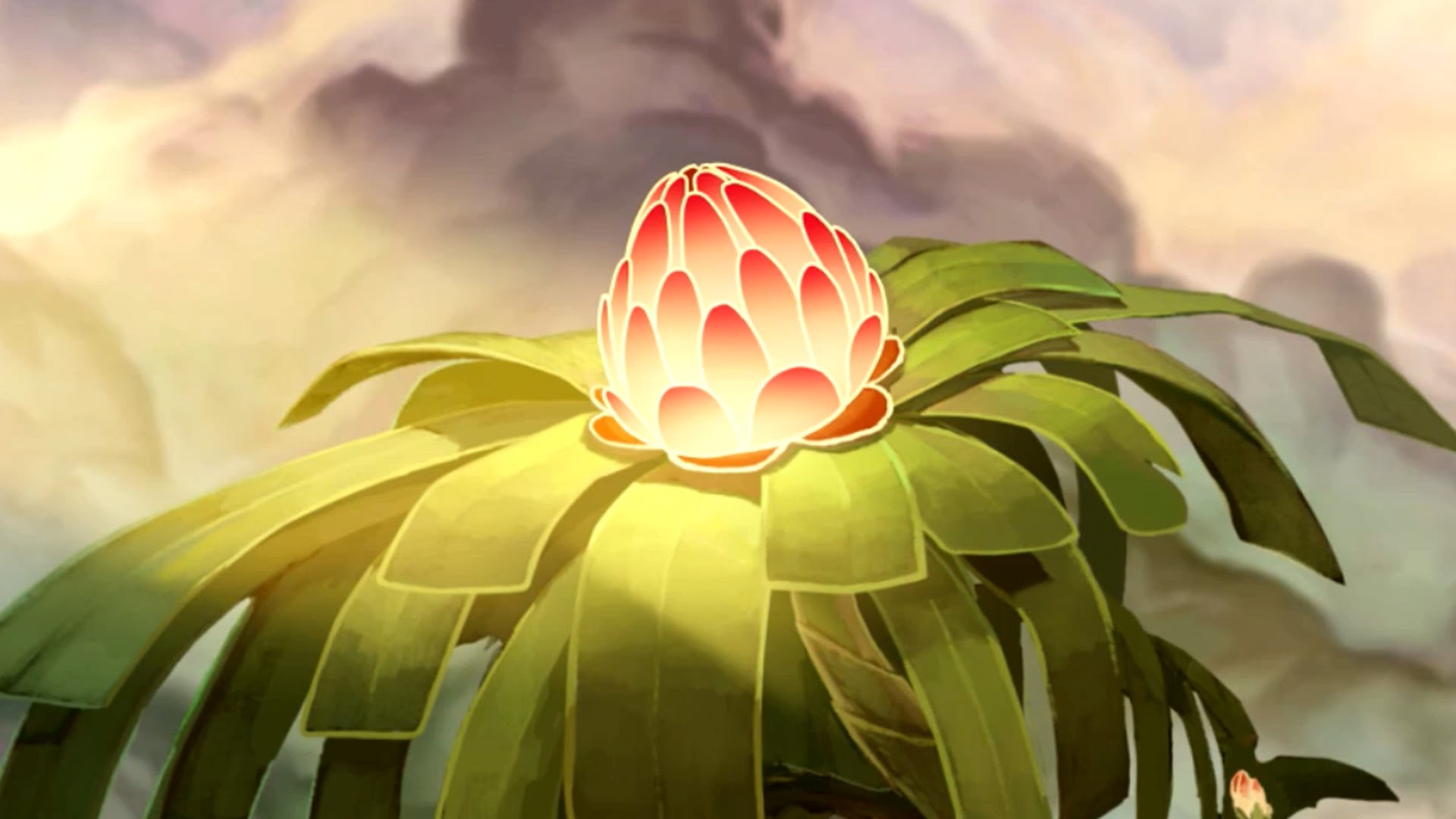 Cartoon Seedling Animated Short Film