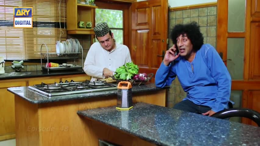 Dilli Walay Dularay Babu Ep 48 - 19th August 2017 - ARY Digital Drama