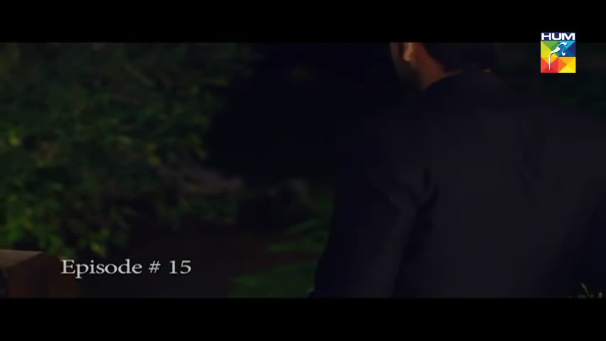 Tau Dil Ka Kia Hua Episode 15 HUM TV Drama  | 22 October 2017