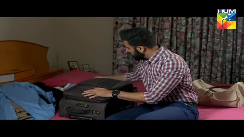 Pagli Last Episode  HUM TV Drama 