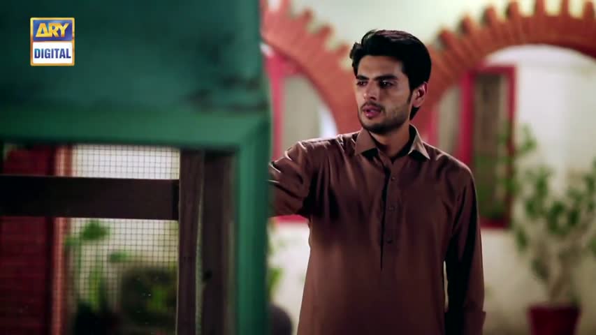 Rishta Anjana Sa Ep 75 - 17th November 2016 - ARY Digital Drama