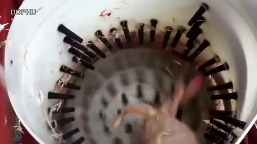 Awesome Homemade Inventions 2016