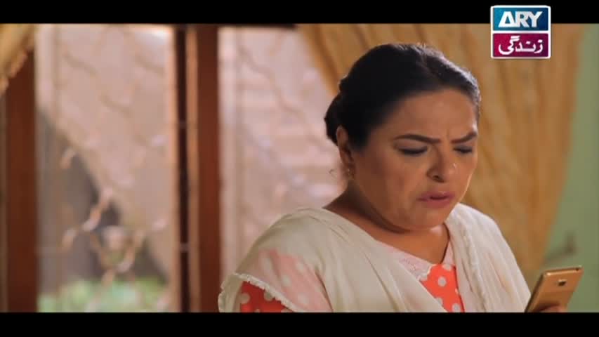Haal-e-Dil Ep 65 - ARY Zindagi Drama
