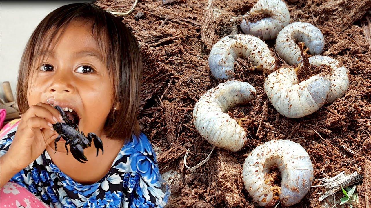 Awesome!!! Very Strange Cooking Coconut Worms n Scorpions | Life of Natural Foods