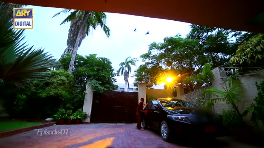 Waada 1st Episode - 9th November 2016 - ARY Digital Drama