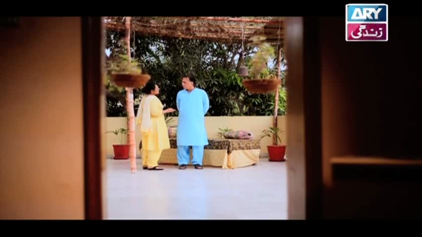 Haal-e-Dil Ep 51 - ARY Zindagi Drama