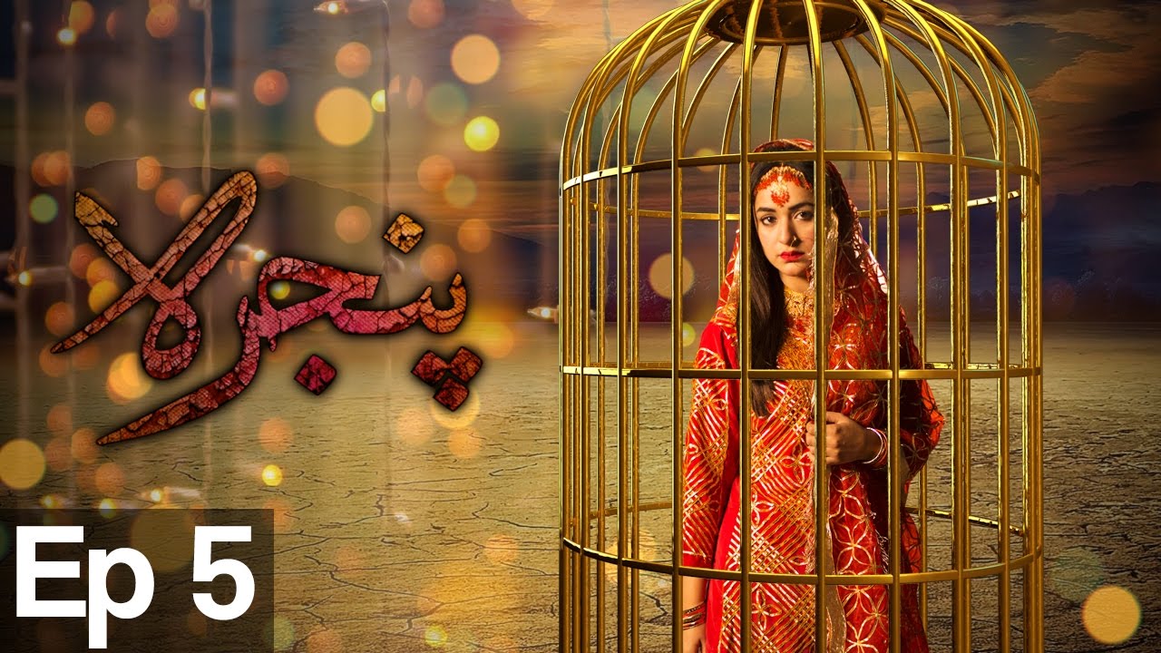 Pinjra - Episode 5 | Aplus