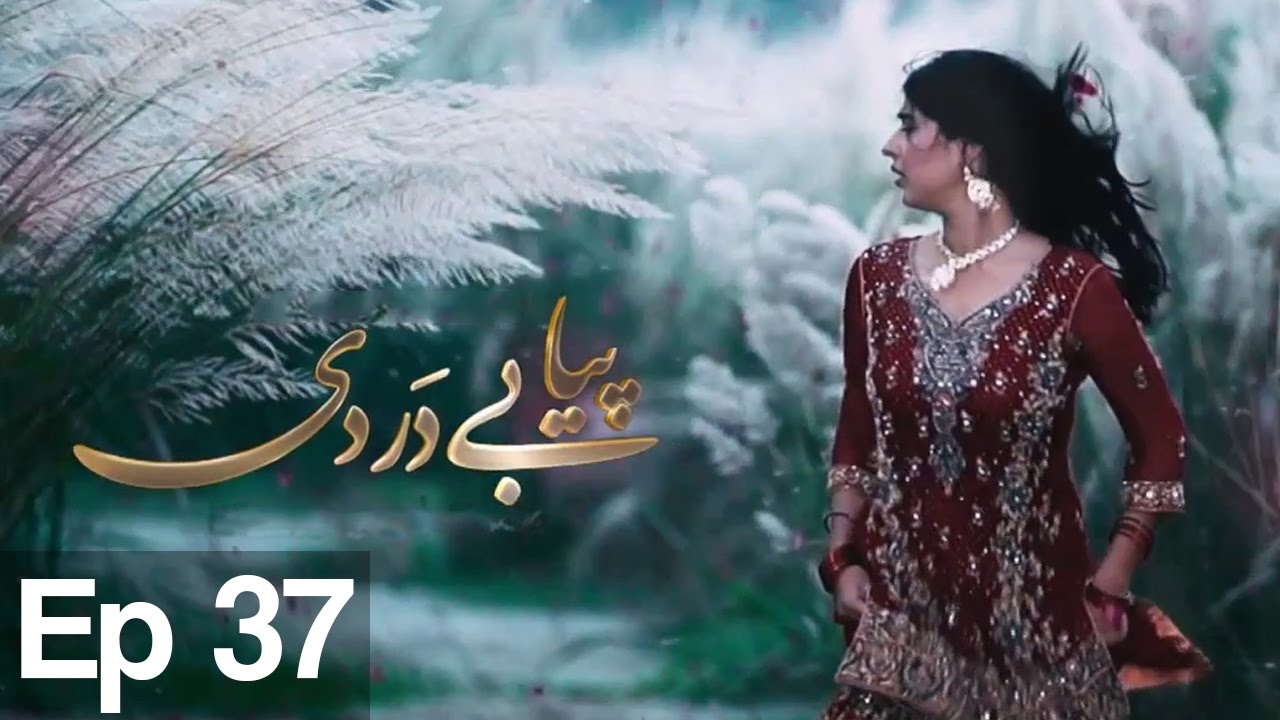 Piya Be Dardi - Episode 37 | A Plus
