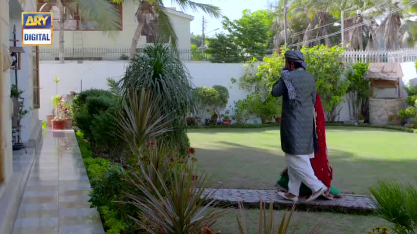 Dilli Walay Dularay Babu Ep 18 - 24th December 2016 - ARY Digital Drama