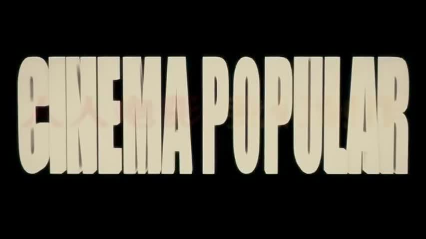 Bodyguards and Assassins 