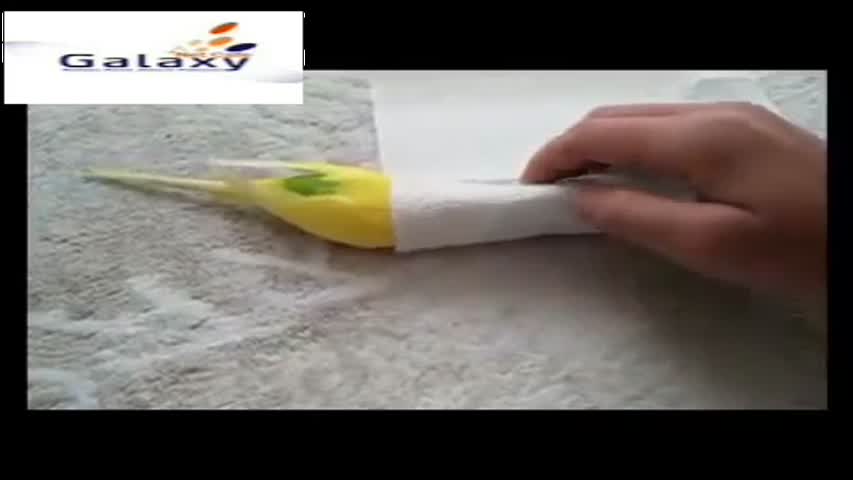 A bird does so much my friend We must learn to see men