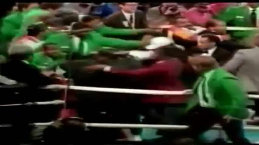 WHEN BOXERS LOSE CONTROL Part 4