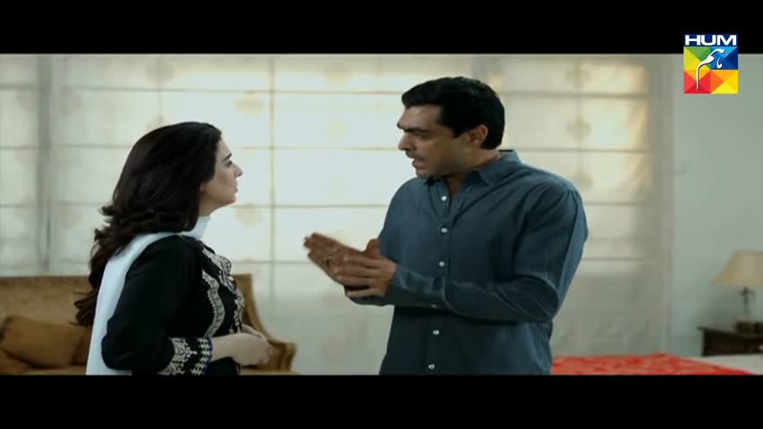 Woh Aik Pal Episode 17 HUM TV Drama - 1 July 2017